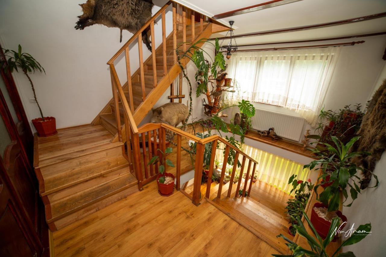 فندق Casa Binu Arieşeni المظهر الخارجي الصورة